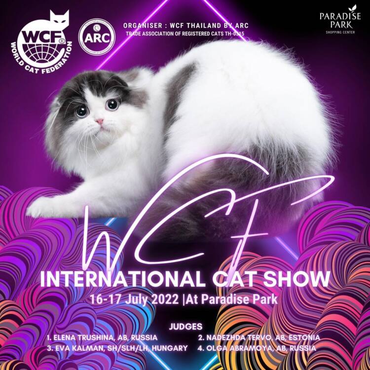 พาราไดซ์ พาร์ค ชวนมางานประกวดแมวสวยงาม WCF International Cat Show The